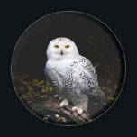 Schneeeule Magnet<br><div class="desc">Tierporträtfotografie der majestätischen,  schneebedeckten Eule,  die auf einem Zweig stehend ist.</div>