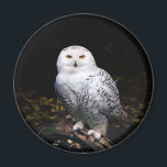 Schneeeule Magnet<br><div class="desc">Tierporträtfotografie der majestätischen,  schneebedeckten Eule,  die auf einem Zweig stehend ist.</div>