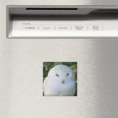 Schneeeule Magnet (In Situ (Geschirrspüler))