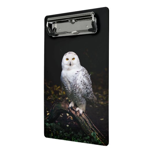 Schneeeule Mini Klemmbrett (Gewinkelt2)