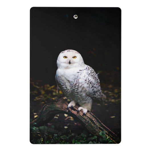 Schneeeule Mini Klemmbrett (Rückseite)