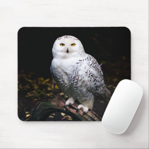 Schneeeule Mousepad