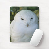 Schneeeule Mousepad (Mit Mouse)