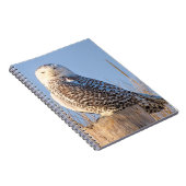 Schneeeule - Notebook Notizblock (Rechte Seite)