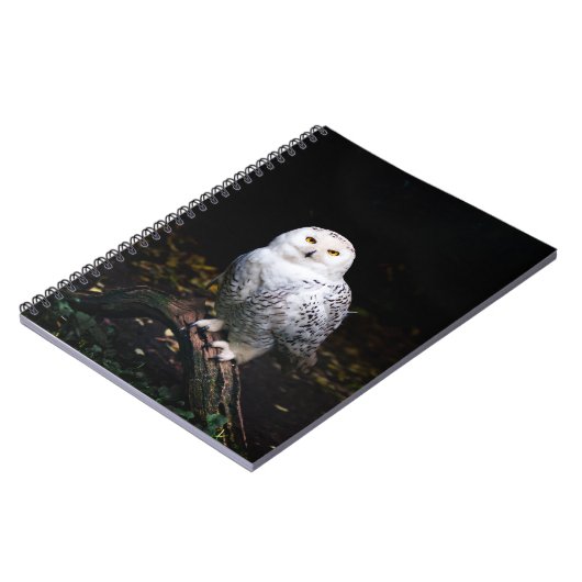 Schneeeule Notizblock (Linke Seite)