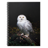 Schneeeule Notizblock (Vorderseite)