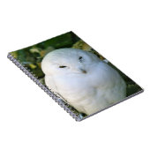 Schneeeule Notizblock (Rechte Seite)