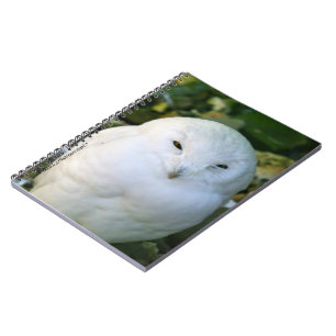 Schneeeule Notizblock