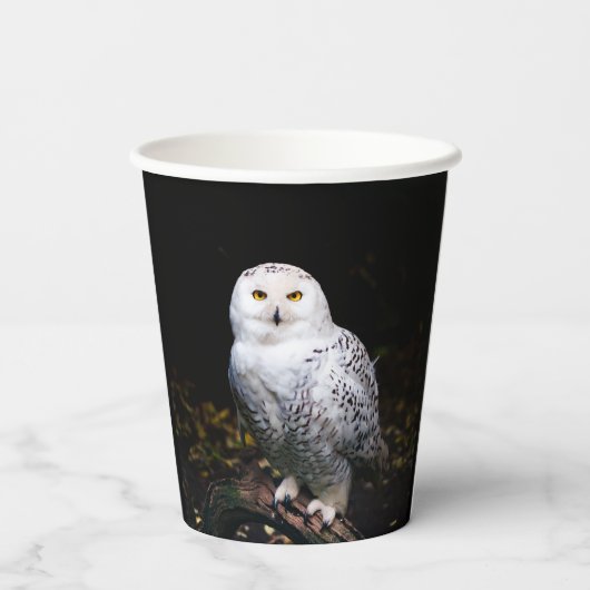 Schneeeule Pappbecher (Rückseite)