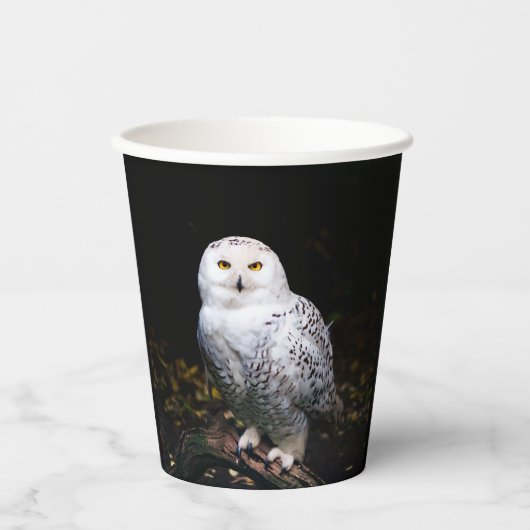 Schneeeule Pappbecher (Vorderseite)