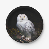 Schneeeule Pappteller (Vorderseite)