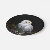 Schneeeule Pappteller (Schrägansicht)
