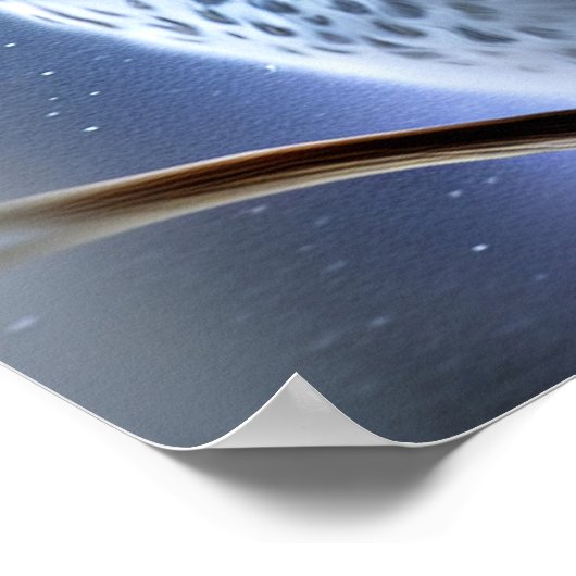 Schneeeule Poster (Ecke)