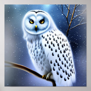 Schneeeule Poster