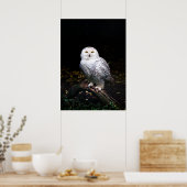Schneeeule Poster (Küche)