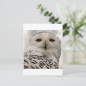 Schneeeule Postkarte (Stehend Vorderseite)