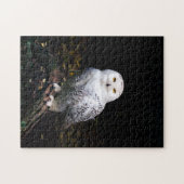 Schneeeule Puzzle (Horizontal)