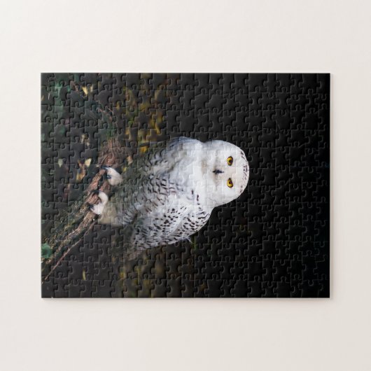 Schneeeule Puzzle (Horizontal)