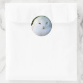 Schneeeule Runder Aufkleber (Tasche)