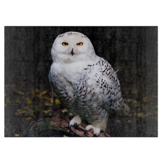 Schneeeule Schneidebrett (Vorderseite)