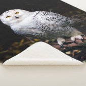 Schneeeule Sherpadecke (3/4)