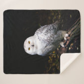 Schneeeule Sherpadecke (Vorderseite (Horizontal))