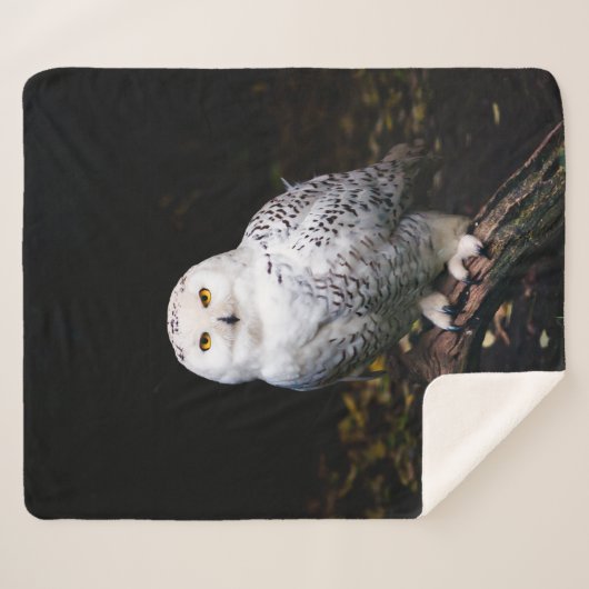 Schneeeule Sherpadecke (Vorderseite (Horizontal))