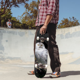 Schneeeule Skateboard