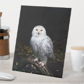 Schneeeule Sockelschild (In Situ)