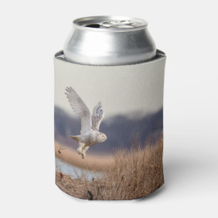 Schneeeule startet dosenkühler