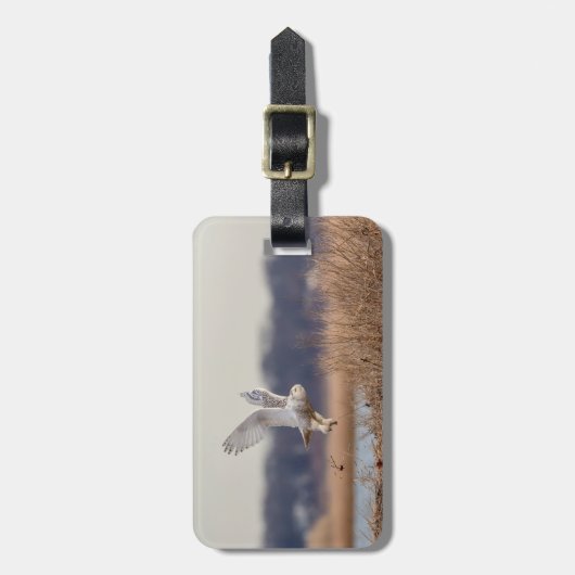 Schneeeule startet gepäckanhänger (Vorderseite vertikal)