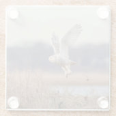 Schneeeule startet glasuntersetzer (Rückseite)