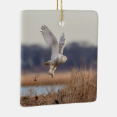 Schneeeule startet keramikornament (Rechts)