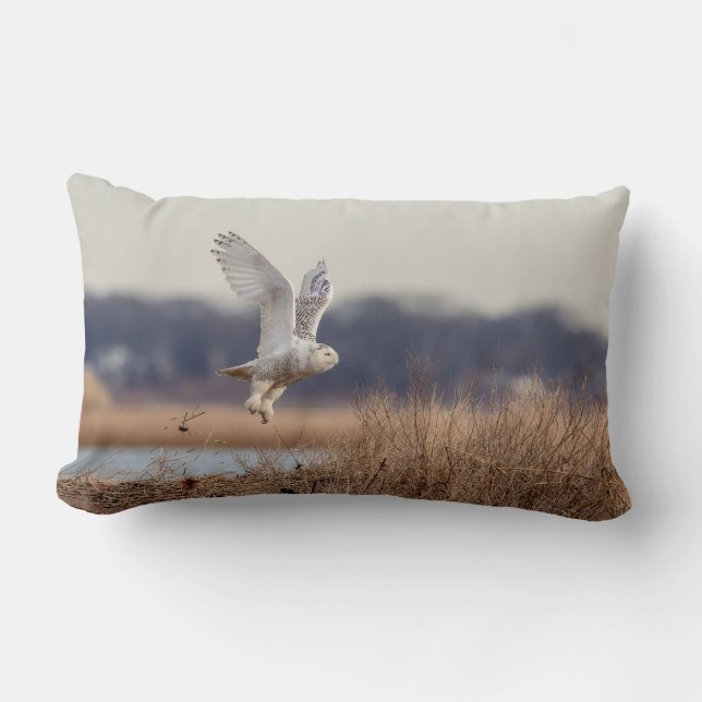 Schneeeule startet lendenkissen (Vorderseite)