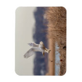 Schneeeule startet magnet (Vertikal)