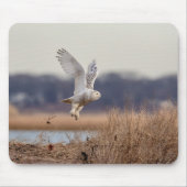 Schneeeule startet mousepad (Vorne)