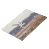 Schneeeule startet notizblock (angewinkelt)