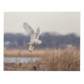 Schneeeule startet notizblock (Vorderseite)