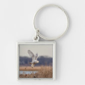 Schneeeule startet schlüsselanhänger (Vorne)