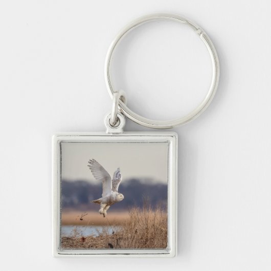 Schneeeule startet schlüsselanhänger (Vorne)