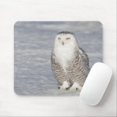 Schneeeule stehend in der Nähe des Wassers Mousepad (Mit Mouse)