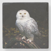 Schneeeule Steinuntersetzer (Vorderseite)