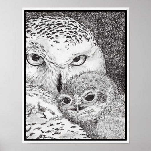 Schneeeule und Baby-Eule Poster (Vorne)
