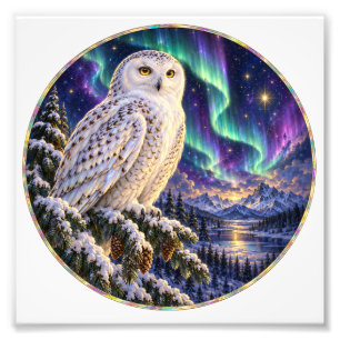 Schneeeule unter der Winteraurora Fotodruck