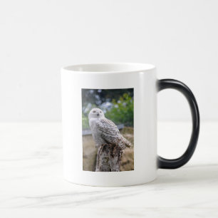 Schneeeule Verwandlungstasse