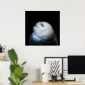 Schneeeule Weiß Winter Poster (Heimbüro)