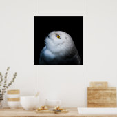 Schneeeule Weiß Winter Poster (Küche)