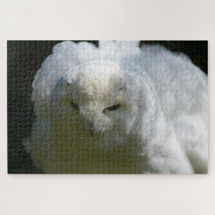 Schneeeule wird super herausfordernder Floof-Vogel Puzzle