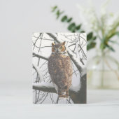 Schneeeulen-Postkarte Postkarte (Stehend Vorderseite)