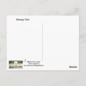 Schneeeulen-Postkarte Postkarte (Rückseite)